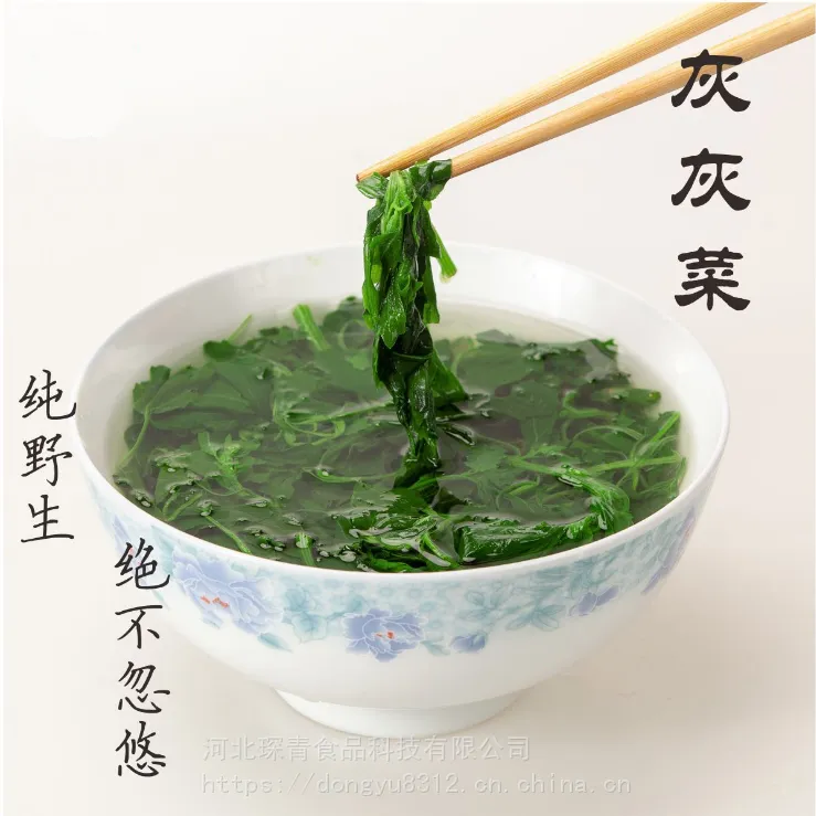 脱水灰灰菜，泡发率4-5倍，厂家直供，全国常年供应。