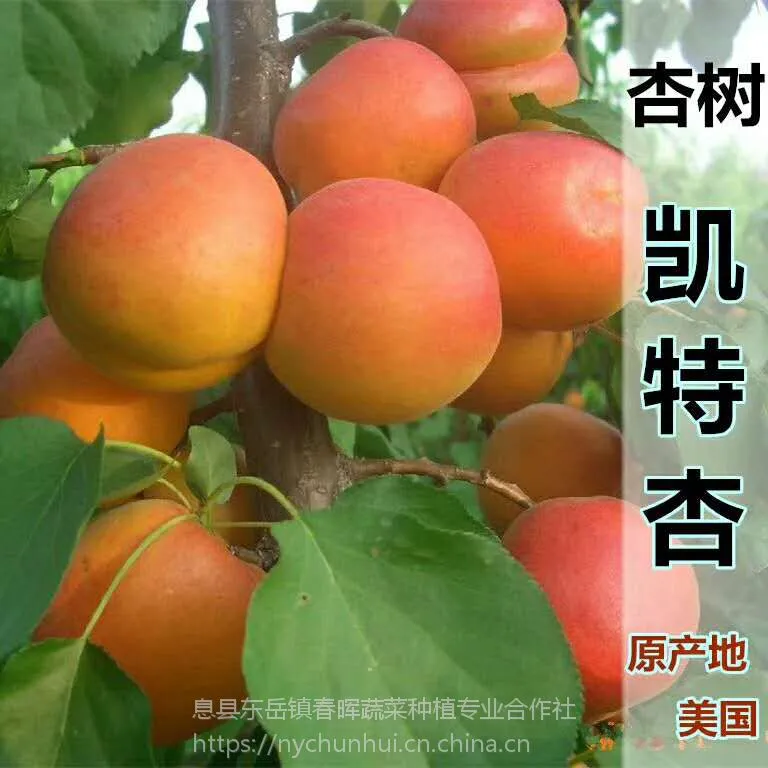 ������ �Ә��� �P���� ������ �޽��� �ϱ����ɷNֲ ��(d��ng)��Y(ji��)��ˮ������ ������