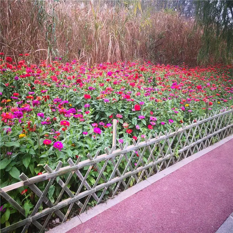 楚雄永仁花坛护栏竹子栅栏竹篱笆竹栅栏