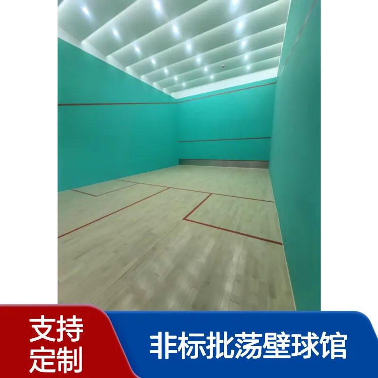 定制化施工 非标批荡壁球馆 环保材料 一站式供应省心