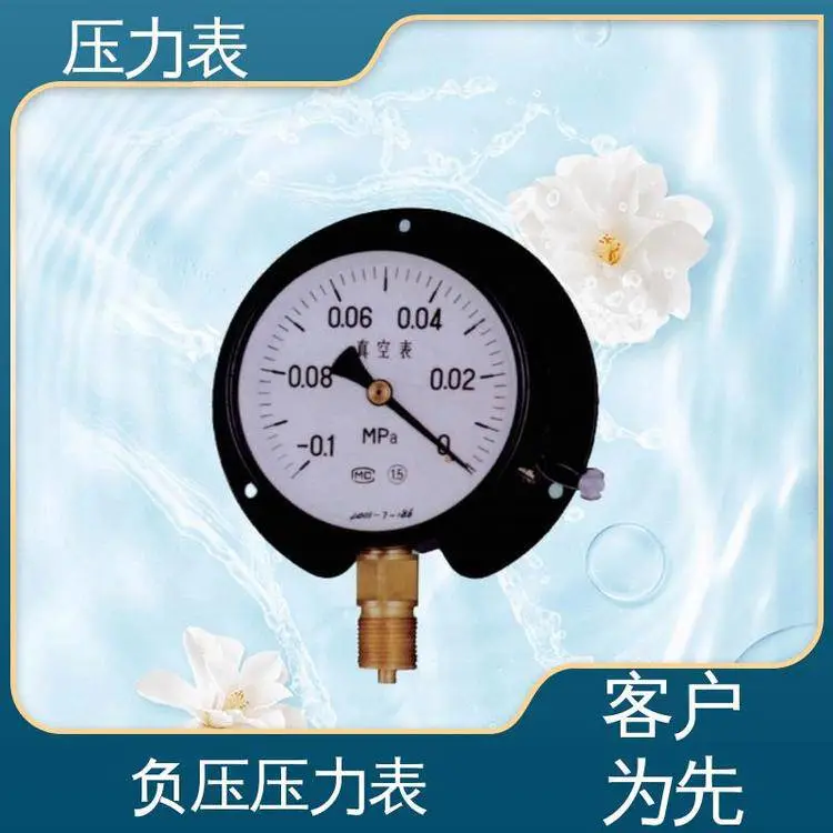 天康 Y-M 系列 膜片式压力表 反应速度非常快 液压系统 油气开采