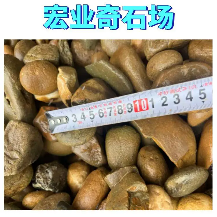 阳江天然鹅卵石批发，景区水景河卵石，变电站鹅卵石滤料，现货