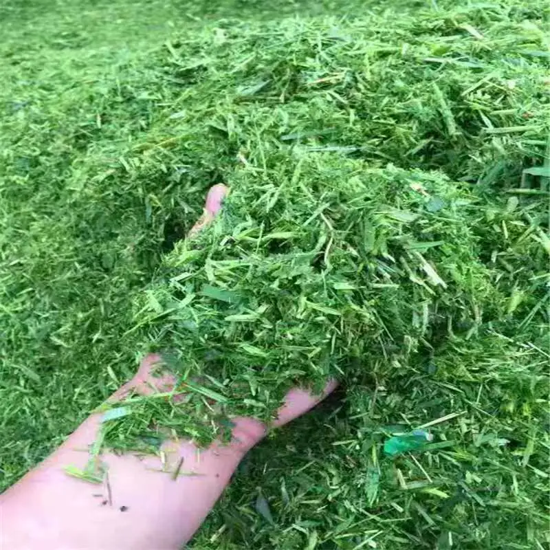 低喷秸秆揉丝机 全自动牛羊饲料粉碎机 可配套青储打包机使用