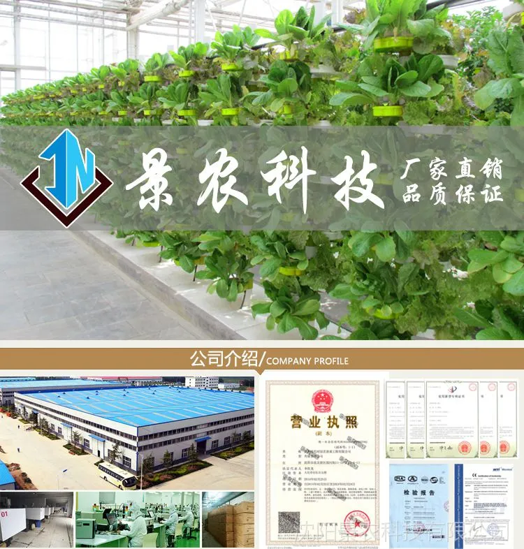 详情页1