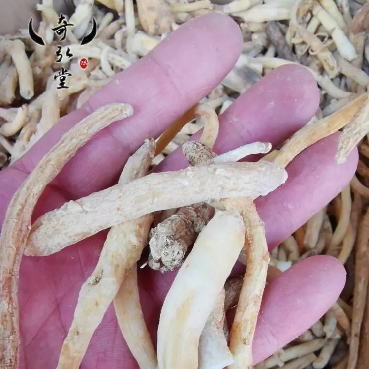中药材明***参功效与用法