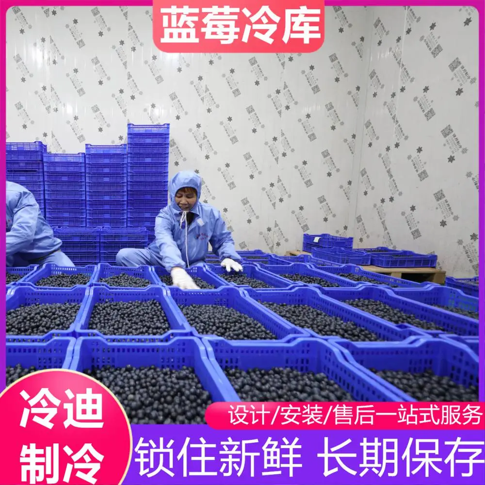 建造300平蔬菜保鲜冷库的成本，蔬菜长期储存