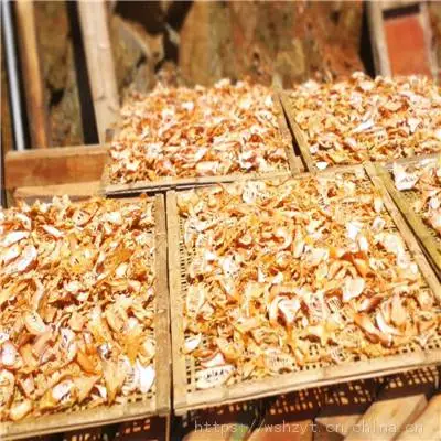 红薯烘干机控制面板家庭鲜青花椒怎么烘干怎么用