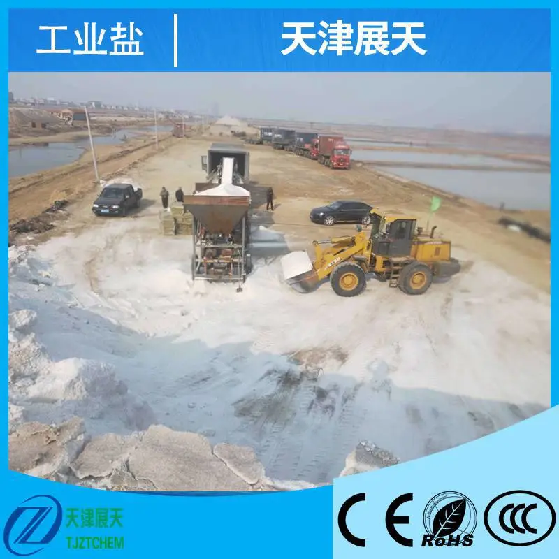 工业盐 氯化钠NaCl 纯度高 化学性能稳定 盛鑫源