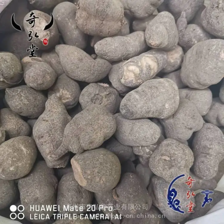 中药材三叶青市场
