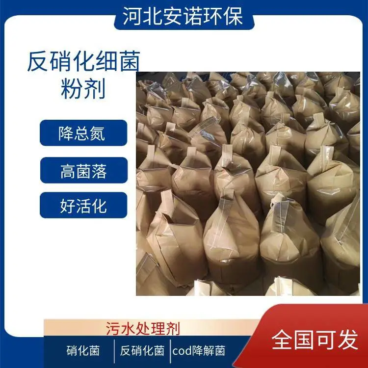 固体硝化菌剂 降低污水COD适应高难度废水河北安诺环保