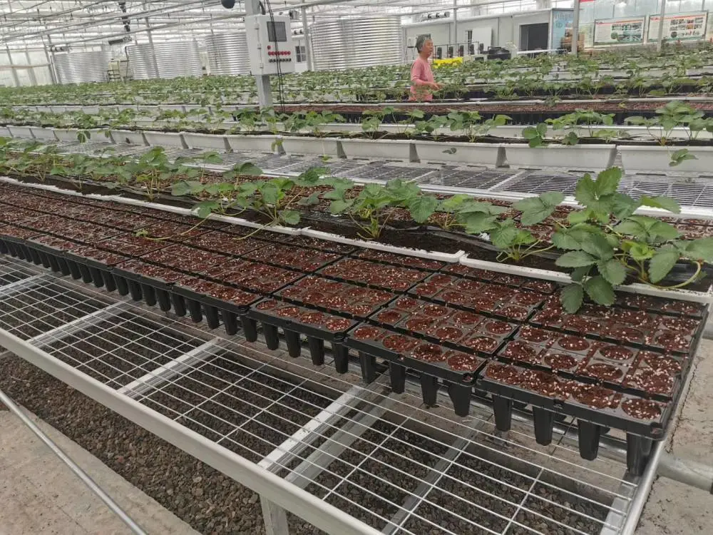 复产育苗专用移动苗床 快速恢复育苗产能 厂家现货优先发货
