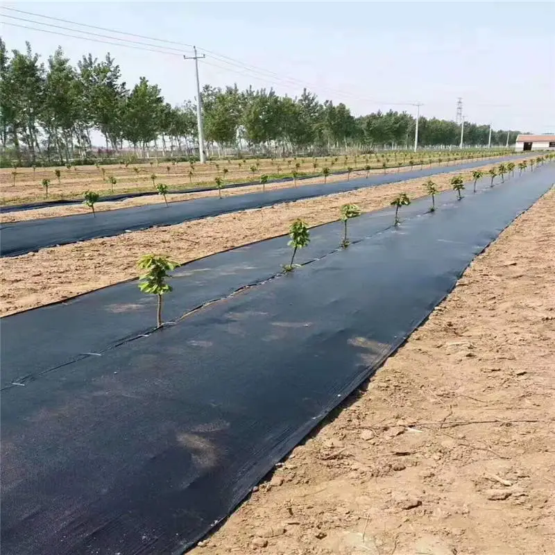 乌兰察布2m宽防草布苗圃防草地布 园艺抑草席杂草地垫RunYe/润业土工供应