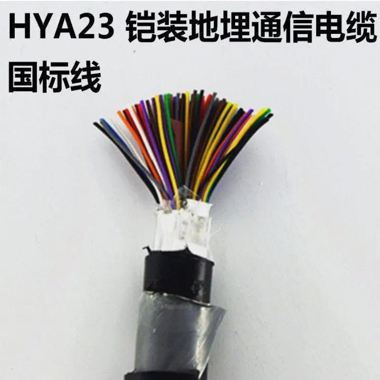 本安电缆IA-DJYPVPR12*2*1.0 控制电缆 DJYPV-1*3*1.5