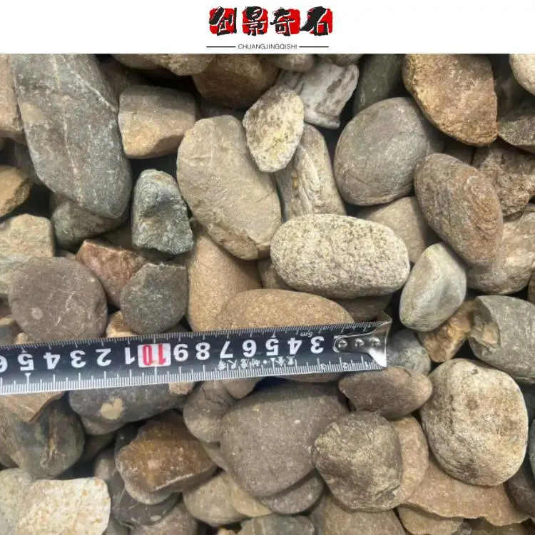 广东深圳鹅卵石供应基地 深圳盆景填充鹅卵石 深圳鹅卵石堆货场