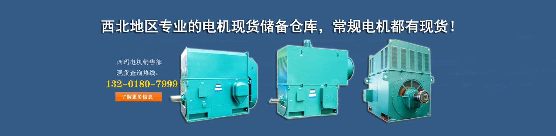 陕西异步西玛电机有限公司