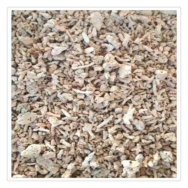 海滨供应珊瑚砂 过滤用珊瑚砂 鱼缸珊瑚砂造景
