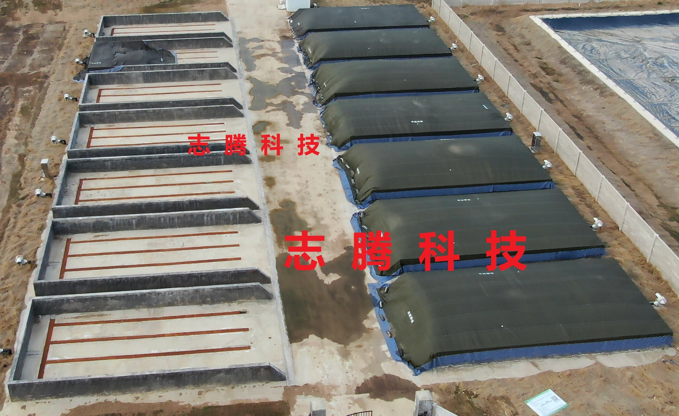 青岛志腾科技有限公司