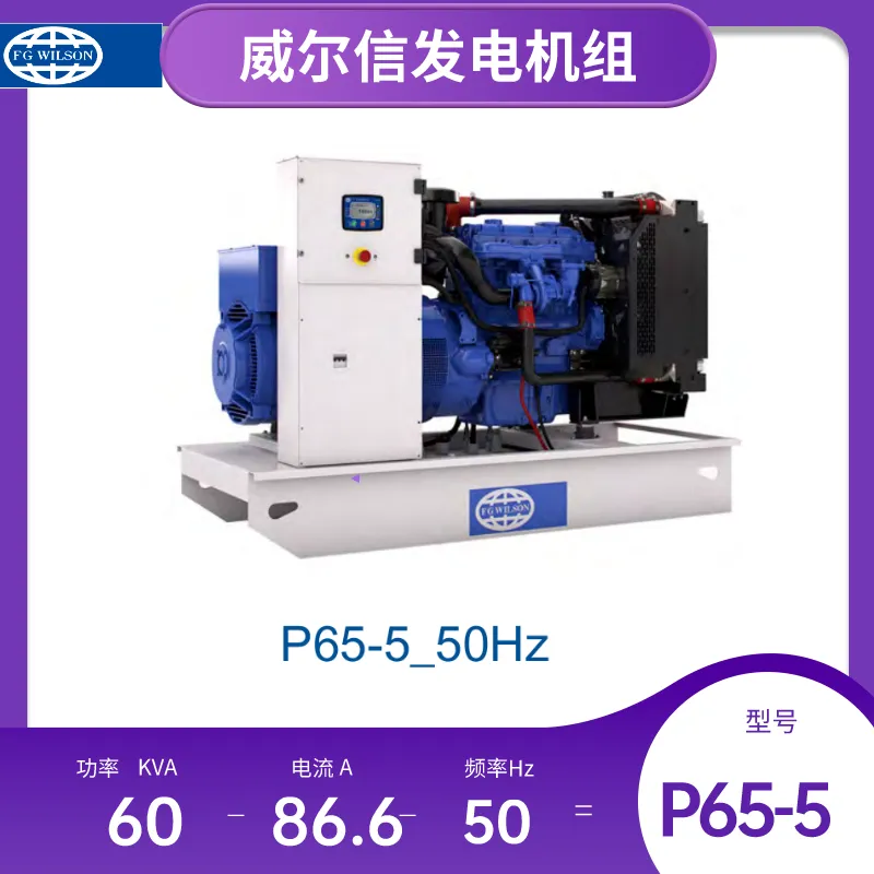 P65-5威尔信品牌发电机组三相50KW水冷紧凑型