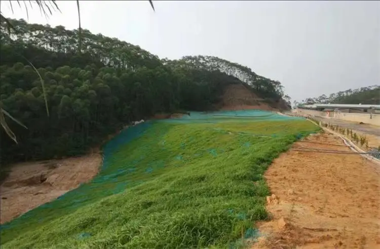 水域生态修复草种企业每袋50公斤丹东经销批发