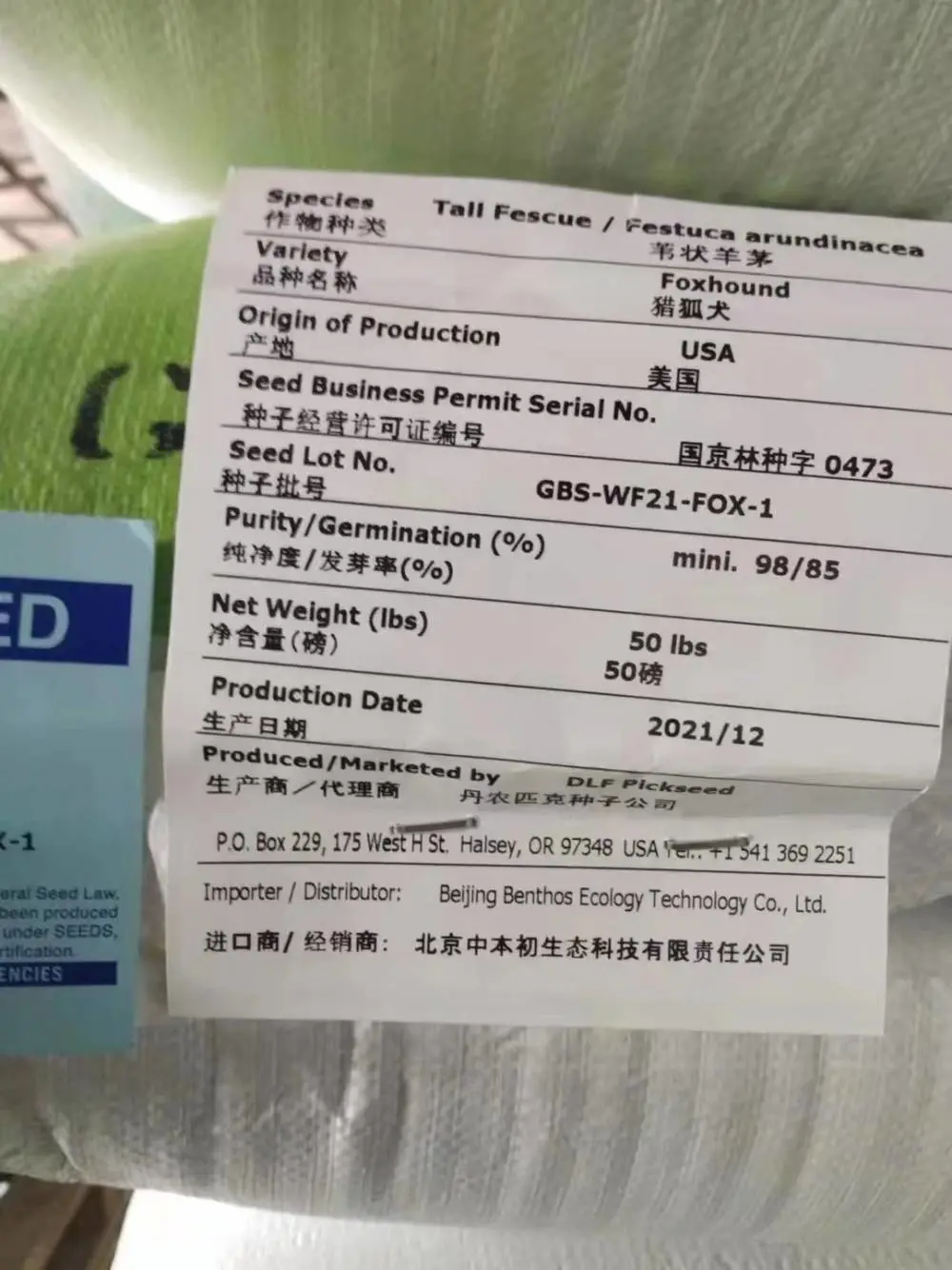 山东东营本地出售枫香种子 白茅草籽 藿香普通花种籽