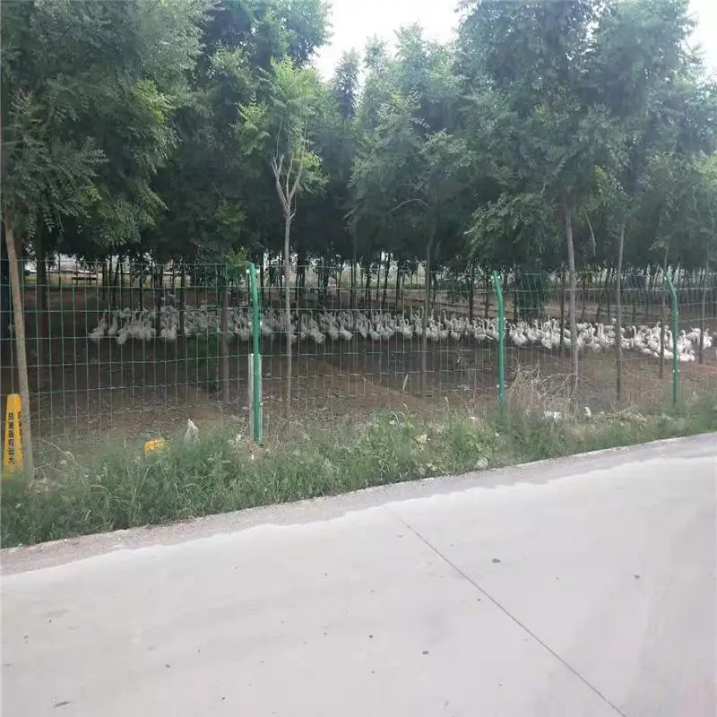 圈地隔离网 枣庄圈地隔离网 圈地隔离网规格