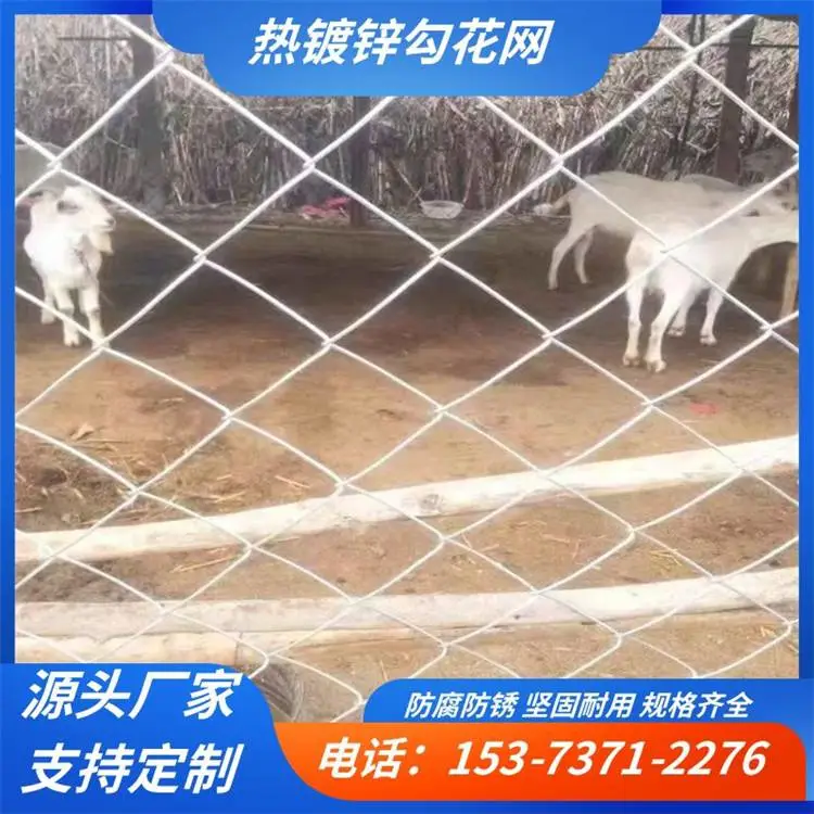 镀锌铁丝护栏网 矿用菱形金属编织网 室外勾花网围网 造型美观