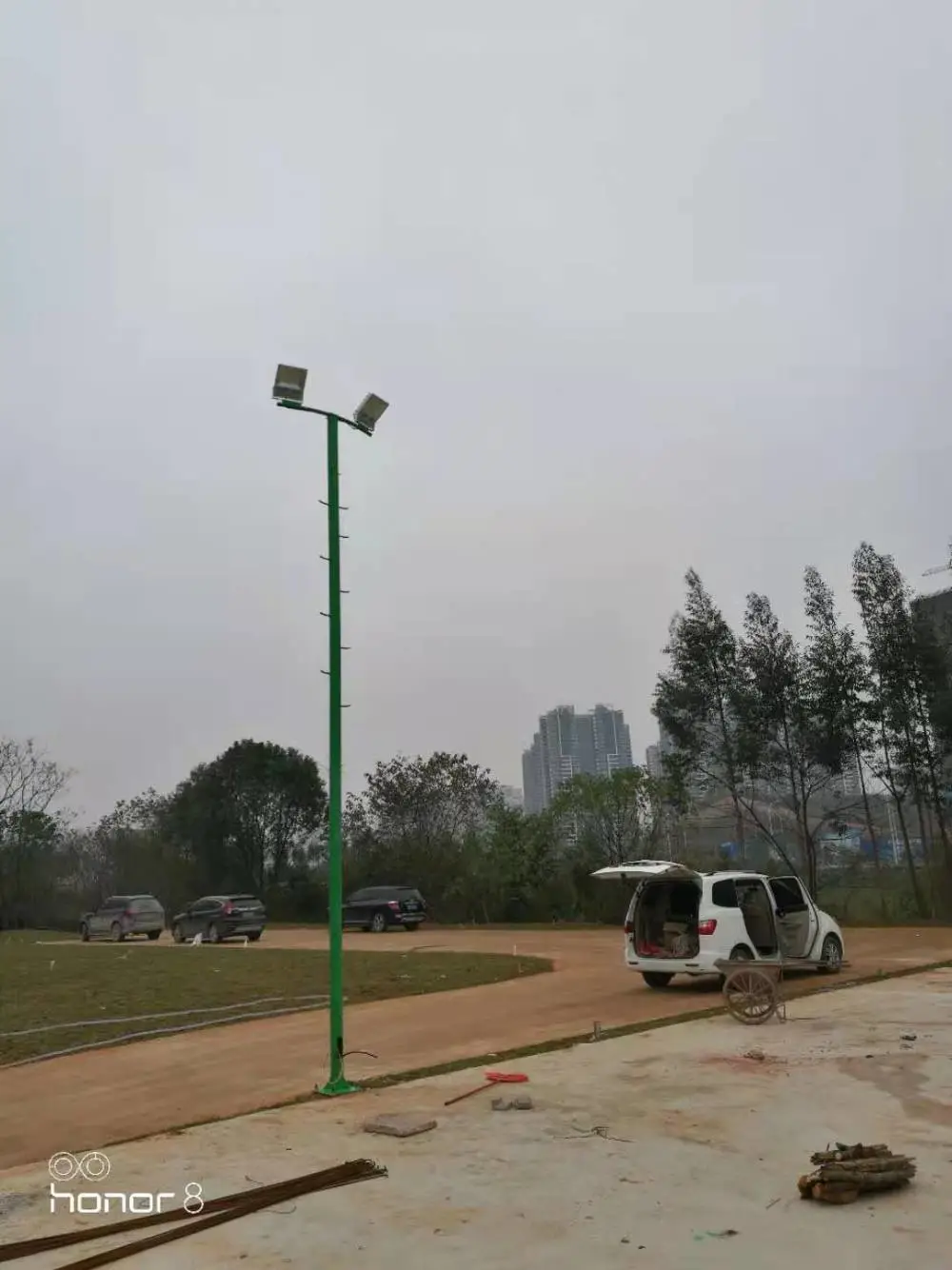 百色田阳户外照明灯杆玉兰道路灯杆多款造型