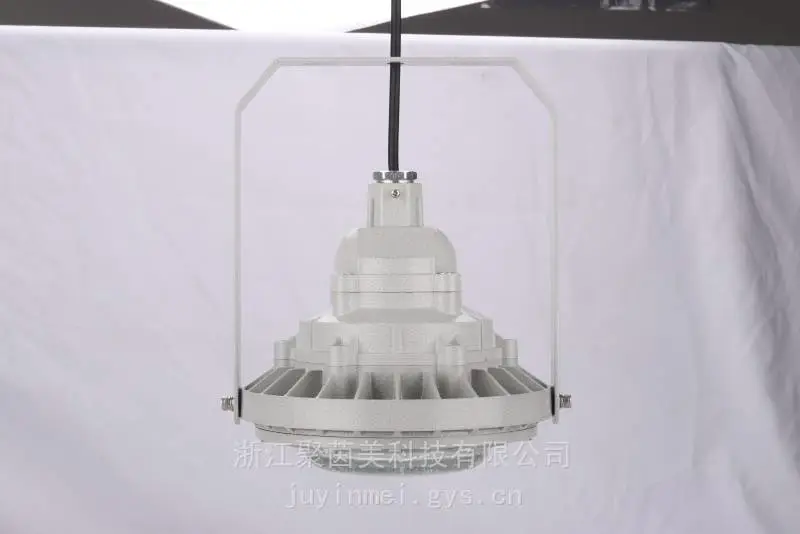 圆形LED照明灯免维护防爆灯壁式30W60W100W150W