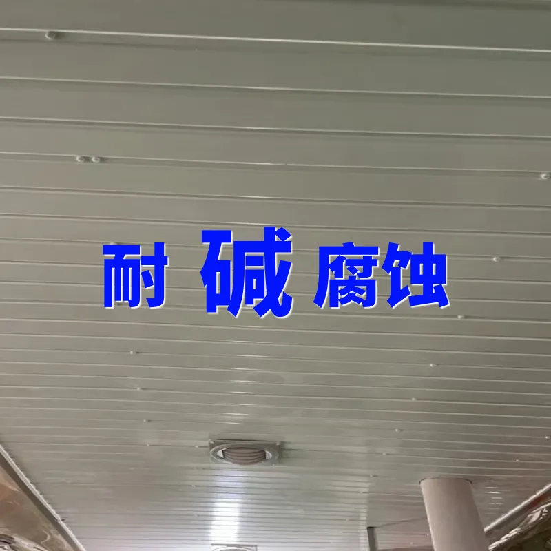 污水处理厂UPVC防腐板 防酸碱腐蚀 耐老化30年不生锈