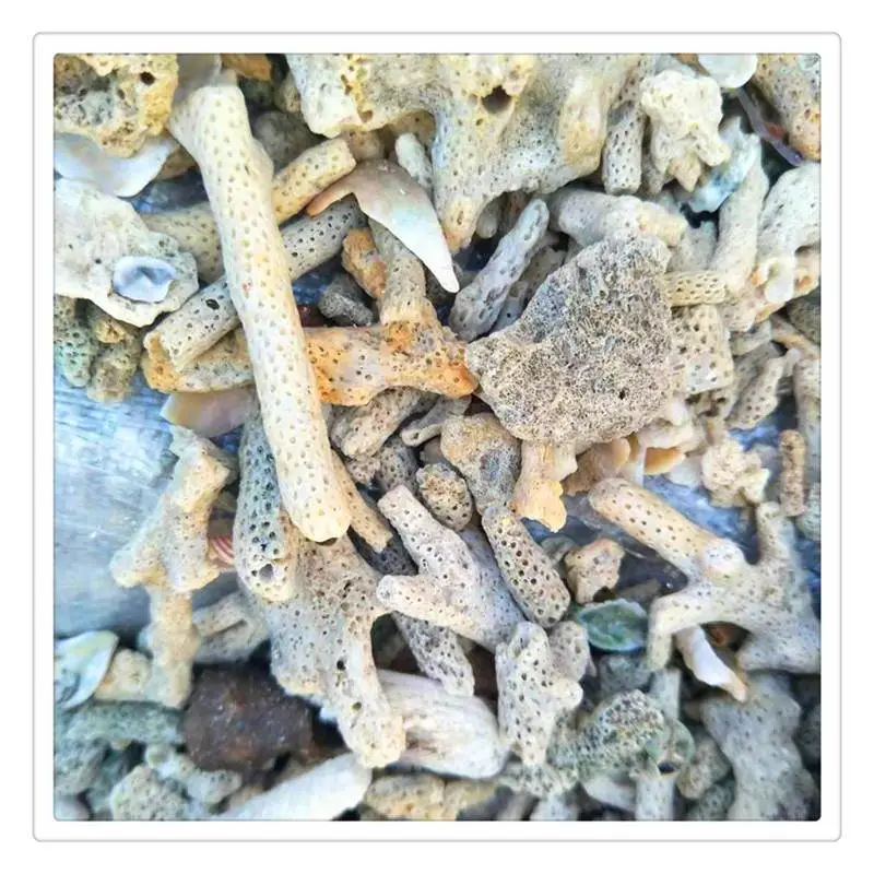 海滨供应珊瑚砂 造景珊瑚砂 养殖用珊瑚砂