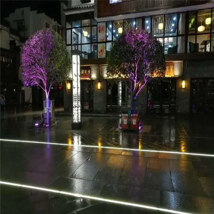 景观灯户外,霓虹灯带批发,室外地埋灯定制,dmx512地砖灯厂家