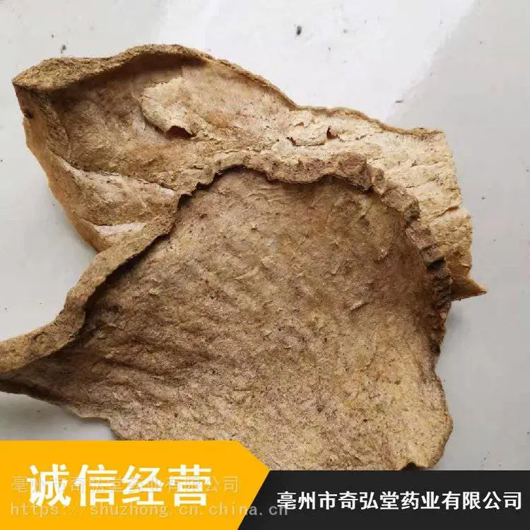 野生中药材罗锅底_奇弘堂当年生罗锅底_味苦金腰莲金盆