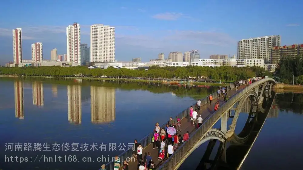 浙江水生态治理工程物化凝聚复合剂