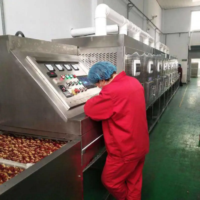 红枣片微波烘干杀菌 枣圈微波杀虫卵设备 微波灭菌机厂家