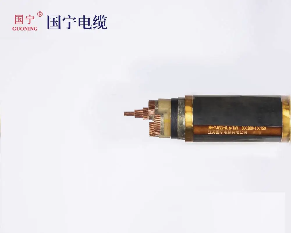 NH-YJV22-0. 6/1kV 3X300＋1x150 国宁 低压电缆