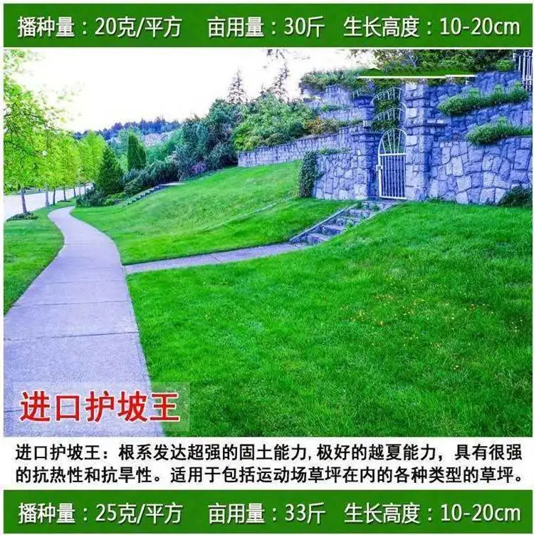 水域生态修复草种企业每袋50公斤丹东经销批发