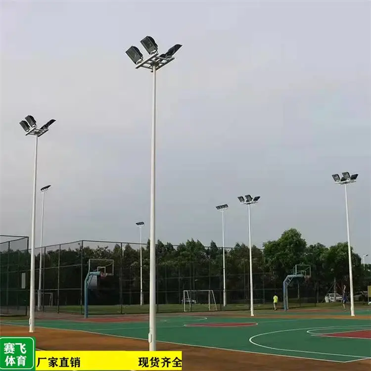 扶绥操场球场灯杆供应商 赛艺 户外路灯杆8米供应商