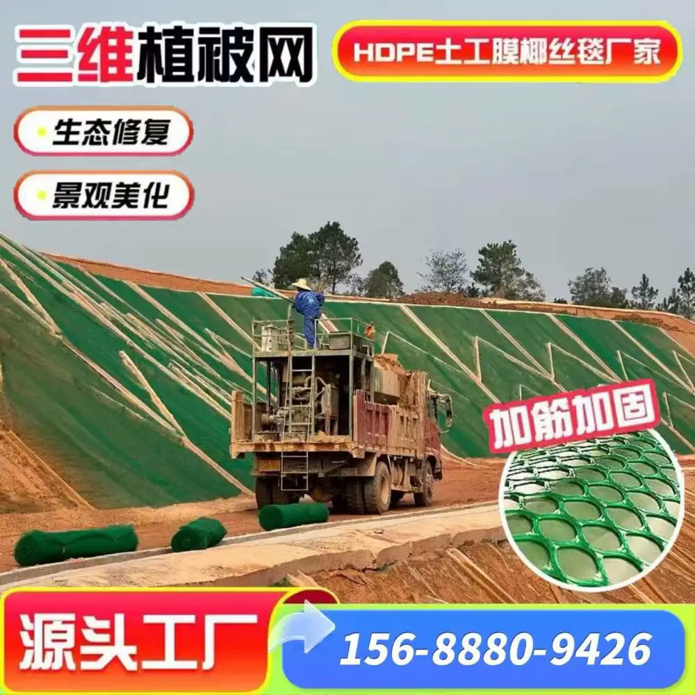 NSS2三维植被网护坡网 12mm土工网植草防护 绿化效果强 抗腐蚀 现 货