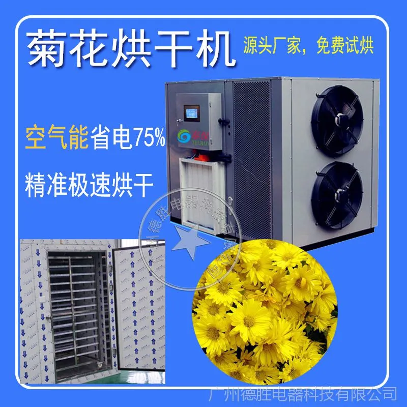 菊花1