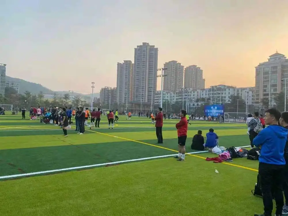 北京国先体育运动地板健身垫子人工人造仿真人造草坪经济耐用使用寿命长