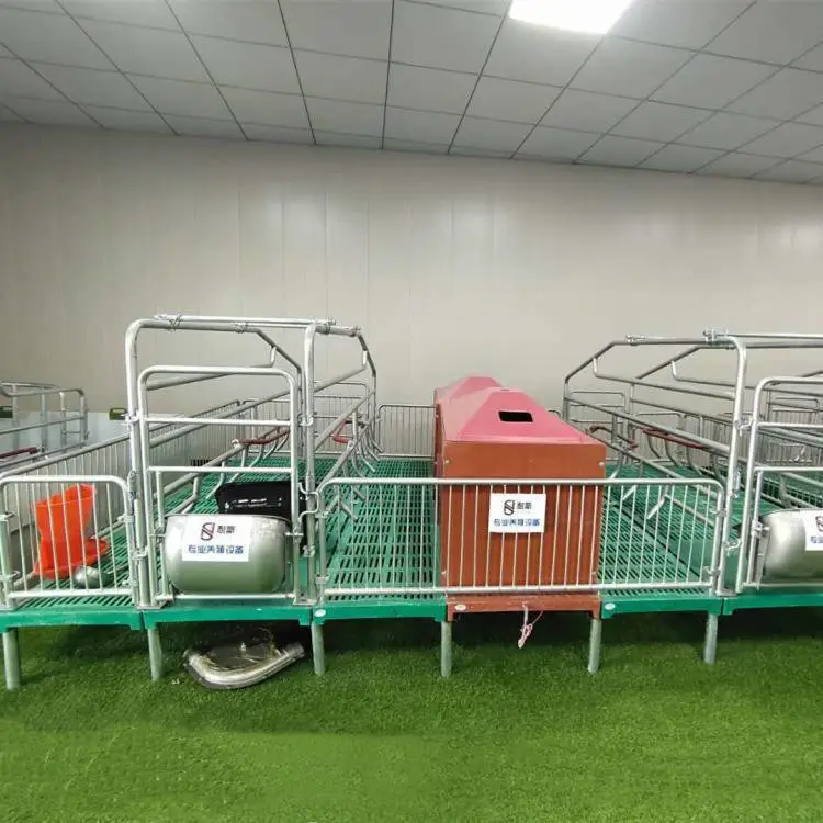 猪用产床 母猪产床 双体产床 母猪分娩栏 热镀锌管 不锈钢食槽 养殖设备