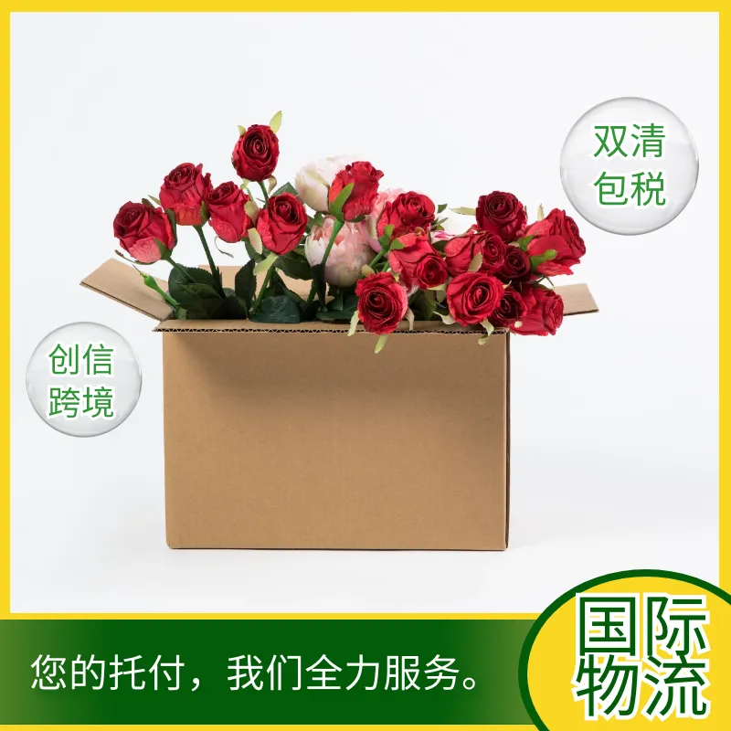化工品出口物流 辽宁的跨境物流 杭州寄美国物流 一站式服务双清包到门