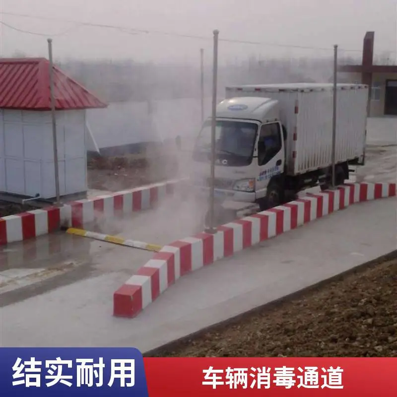 6立杆车辆喷雾消毒机 屠宰场专用 大流量喷头
