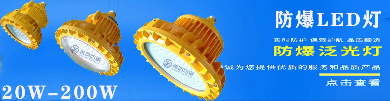 浙江雅明防爆科技有限公司