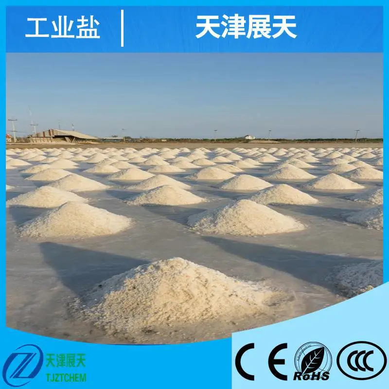 现货批发工业级添加剂 工业盐 送货到厂 随时可发