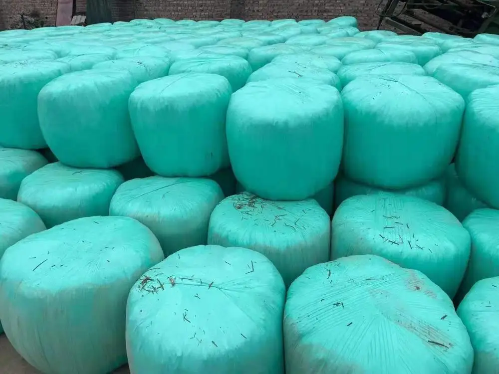 绵阳牛羊草料 青储玉米秸秆 牛羊驴鹿草料 玉米青储草料 青贮牧草料