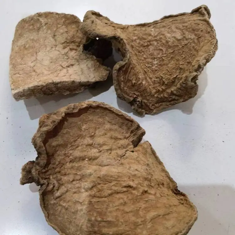 千金藤近期涨幅翻倍