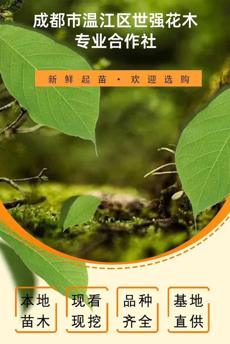 detail_pages/tmp/GjDFWPQ4qhCjUqEpWnQXr9TJco7rIIMfLkw2YFbSqA0kXanhM2tpzoFQTElB.jpg