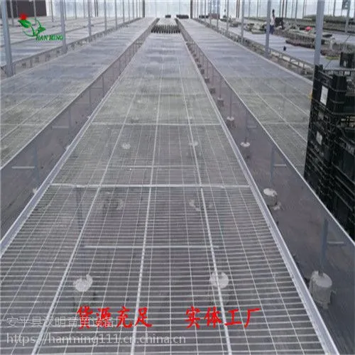 可移动苗床 半自动苗床 活动苗床网 品牌保障