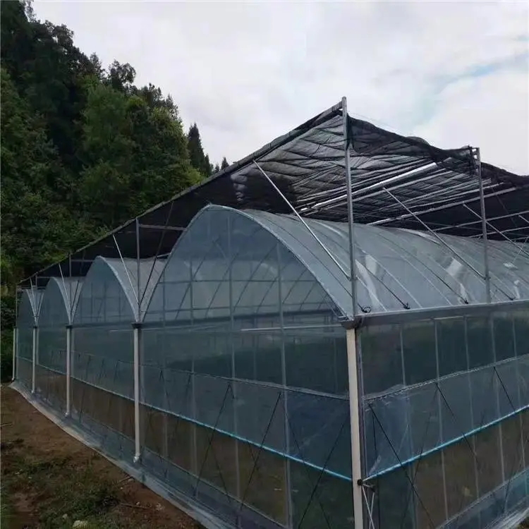 蚌埠怀远温室大棚-农丰大棚骨架厂连栋大棚管